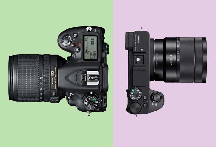 Choosing the Right Camera: Capturing Wildlife Wonders in Every Frame